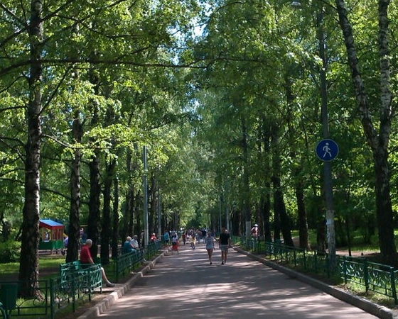 Звезды выступили в защиту Берёзовой аллеи