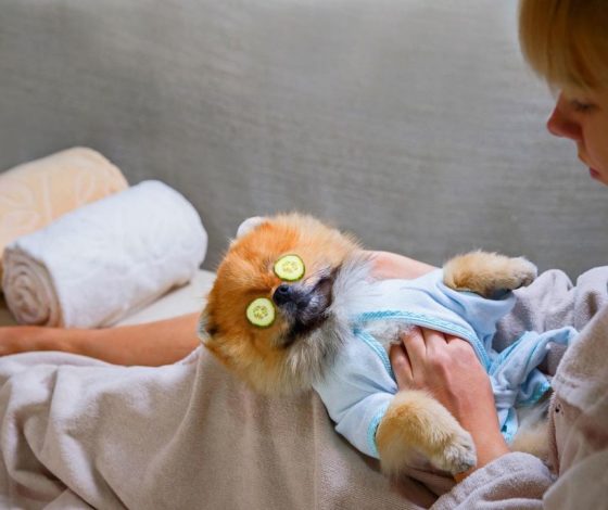 Топ спа-зон в Подмосковье, где можно отдохнуть на зимних каникулах