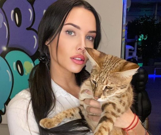 Звездные киски: сколько стоят пушистики звезд