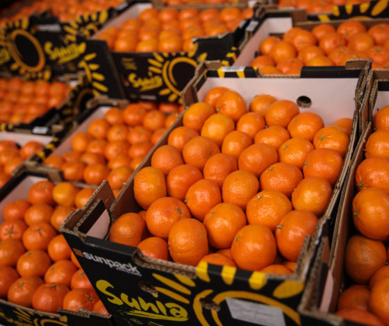 Эксперты рассказали, сколько мандаринов можно съесть в день