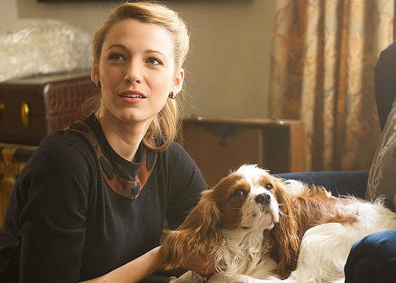 Веганская косметика: что это такое и где ее искать