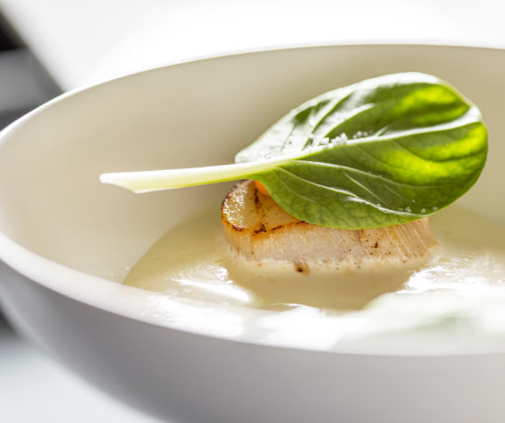 Средиземноморская кухня и коктейли на любой вкус: новый ресторан Maze в центре Москвы