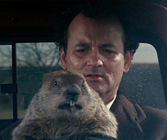 День сурка 2021: приметы и суеверия