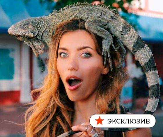 На «Решке» я потратила миллион долларов: Тодоренко, Бедняков и Коваль рассказали о секретах «Орла и решки»