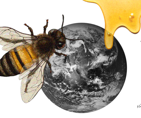 Кампания KissKiss Chain от Guerlain: как пчеловодство может спасти планету