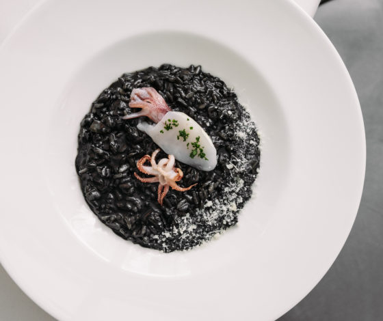 «Ривьера»: новые меню и интерьер после глобального обновления