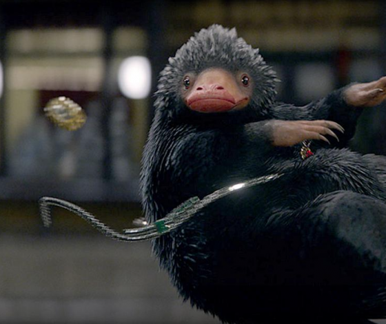 Тест: отличишь «фантастических тварей» от настоящих?