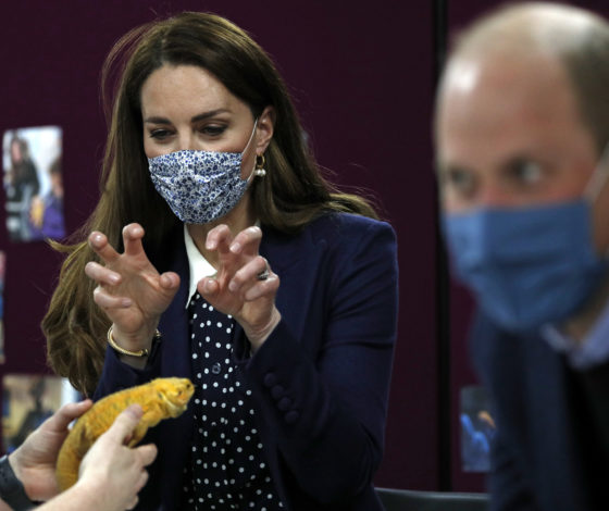 Мимими дня: Кейт Миддлтон и принц Уильям играют с хамелеоном и морской свинкой