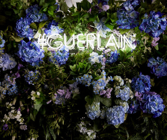 Всемирный день пчел с Guerlain: Марина Кравец, Карина Нигай, Виктория Дайнеко и другие звезды