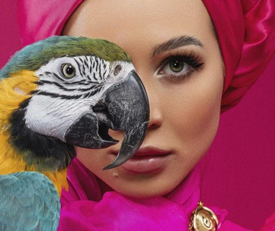 Не украла, а вдохновилась: многомиллионного блогера обвинили в плагиате