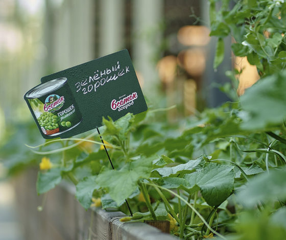 Перезагрузка в большом городе: как выдохнуть, когда вокруг суета?