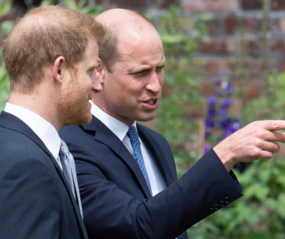 «Делает деньги на откровениях»: принц Уильям устал от выходок принца Гарри