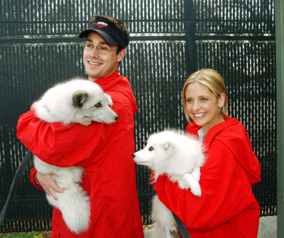 Вспомнить все: как живут и чем занимаются Сара Мишель Геллар и Фредди Принц-младший