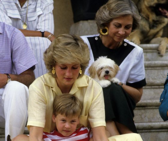 «Начала увлекаться творчеством»: принцесса Диана планировала сбежать с детьми в Калифорнию