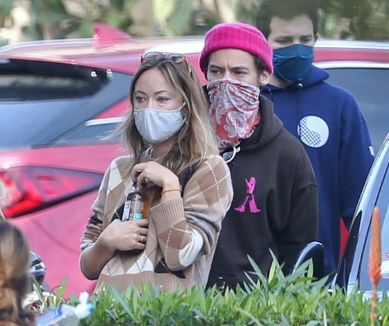 Оливия Уайлд и Гарри Стайлс снова вместе? Поклонники более чем уверены