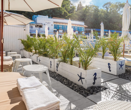 Тест: куда сходить в Сочи?