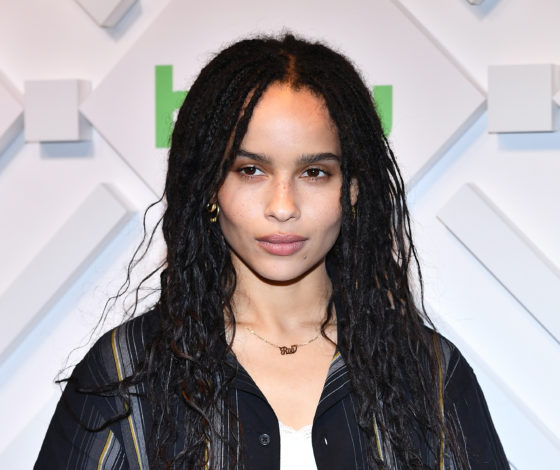 Зои Кравиц назвала причину развода с Карлом Глусманом