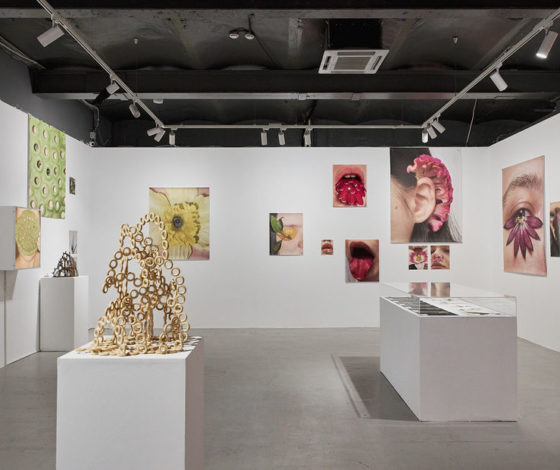 Планы на выходные 14-15 августа: возрождение фестиваля Outline в «Мутаборе», выставка Кати Правды и «Ламбада-маркет» в «Стрелке»