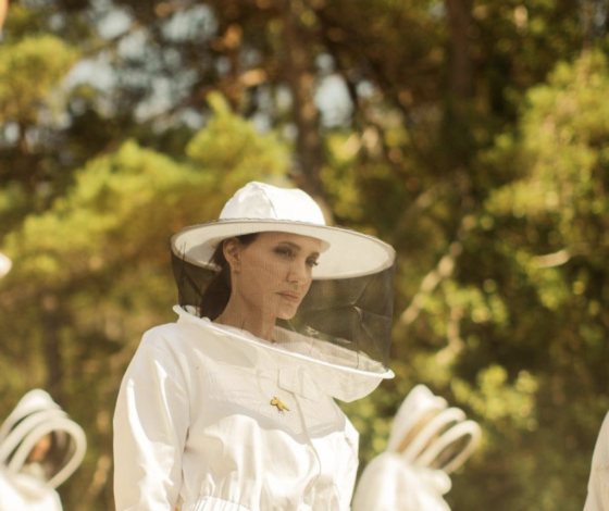 Видео дня: как Анджелина Джоли принимала участие в благотворительной акции в костюме пасечника