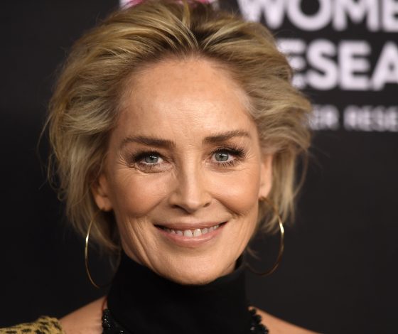 Недосчитали: Шэрон Стоун заработала на 13,5 млн долларов меньше, чем Майкл Дуглас в «Основном инстинкте»