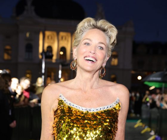 Шэрон Стоун раскритиковали из-за комментария о теле Джоны Хилла