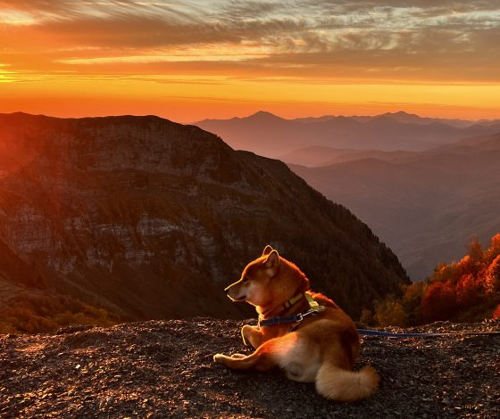 Впереди каникулы: зачем ехать в горы осенью