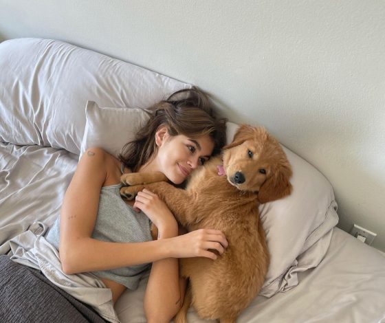 Фото-подборка дня: звёзды, которые обожают собак, позируют со своим питомцами