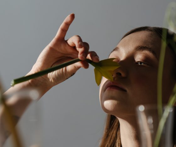 Ароматный мир: косметика с самой лучшей отдушкой