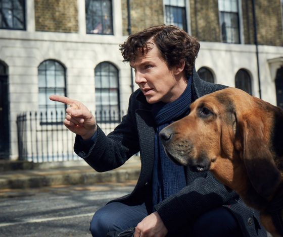 Тест: сможешь ли ты разгадать загадки на дедукцию