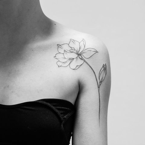 Фото: Instagram/shevchuknavsegda