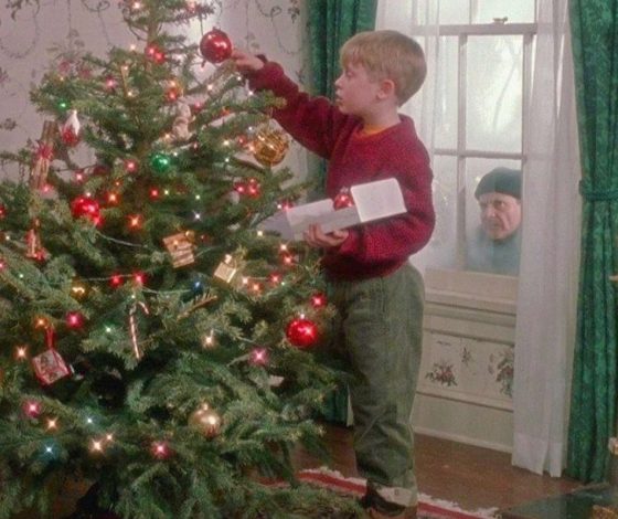 Живая или искусственная: какую елку лучше выбрать