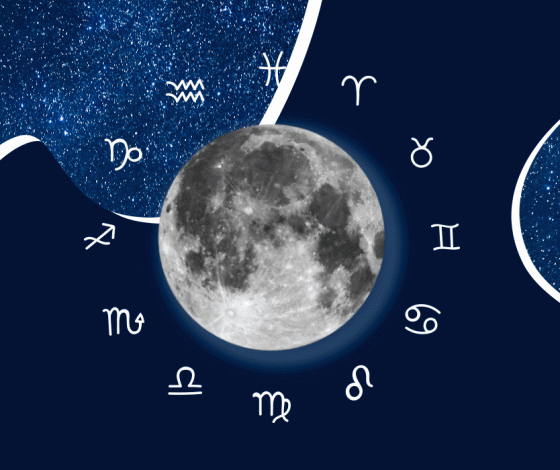 Год водяного тигра: полный гороскоп для всех знаков зодиака на 2022-й