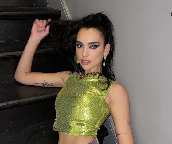 Дуа Липу снова обвинили в плагиате