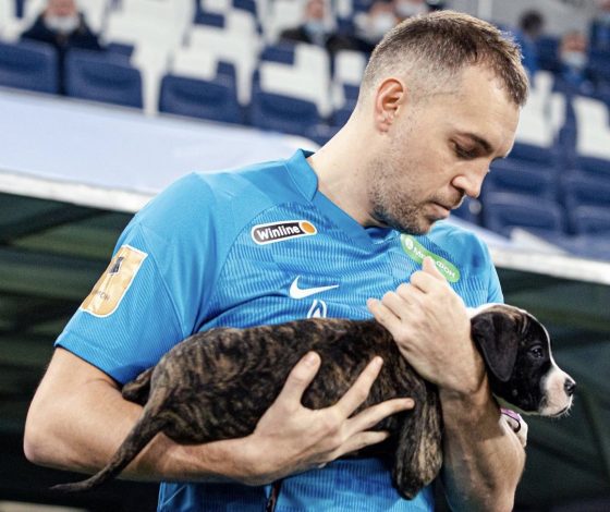 Футболисты «Зенита» вышли на поле с щенками из приютов