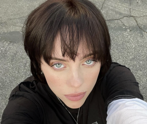 «Скучали по мне?»: фанаты Билли Айлиш в восторге от ее нового образа