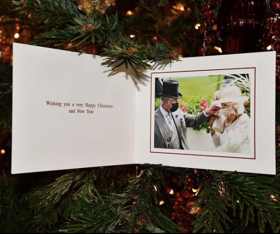 Испортили праздник: за что в Сети раскритиковали рождественскую открытку принца Чарльза и Камиллы