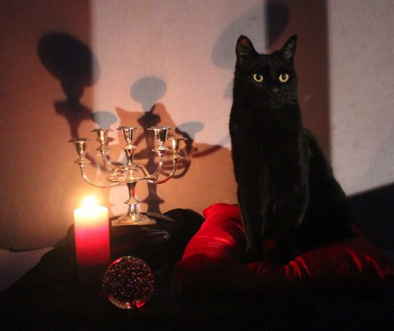 Крещение 2024: приметы и суеверия в этот праздник