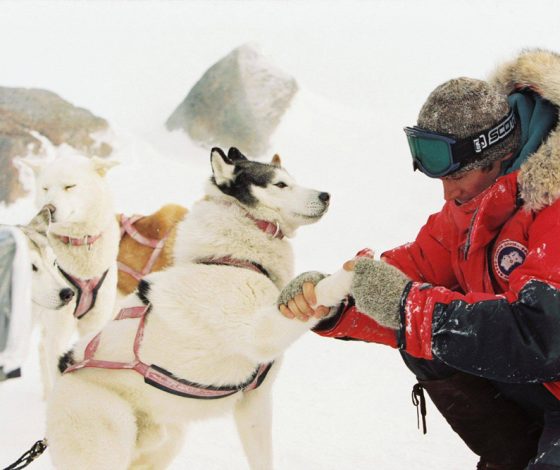 Тест: сможешь ли ты отличить Арктику от Антарктиды и еще 9 вопросов по географии