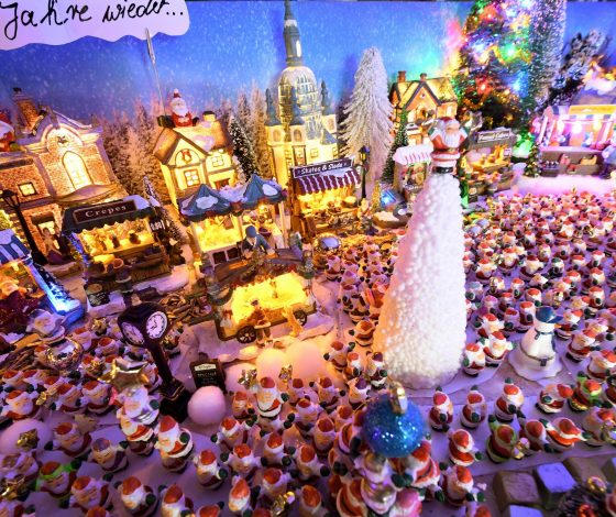 Чем больше, тем лучше: семья из Германии установила дома 444 ёлки и побила мировой рекорд