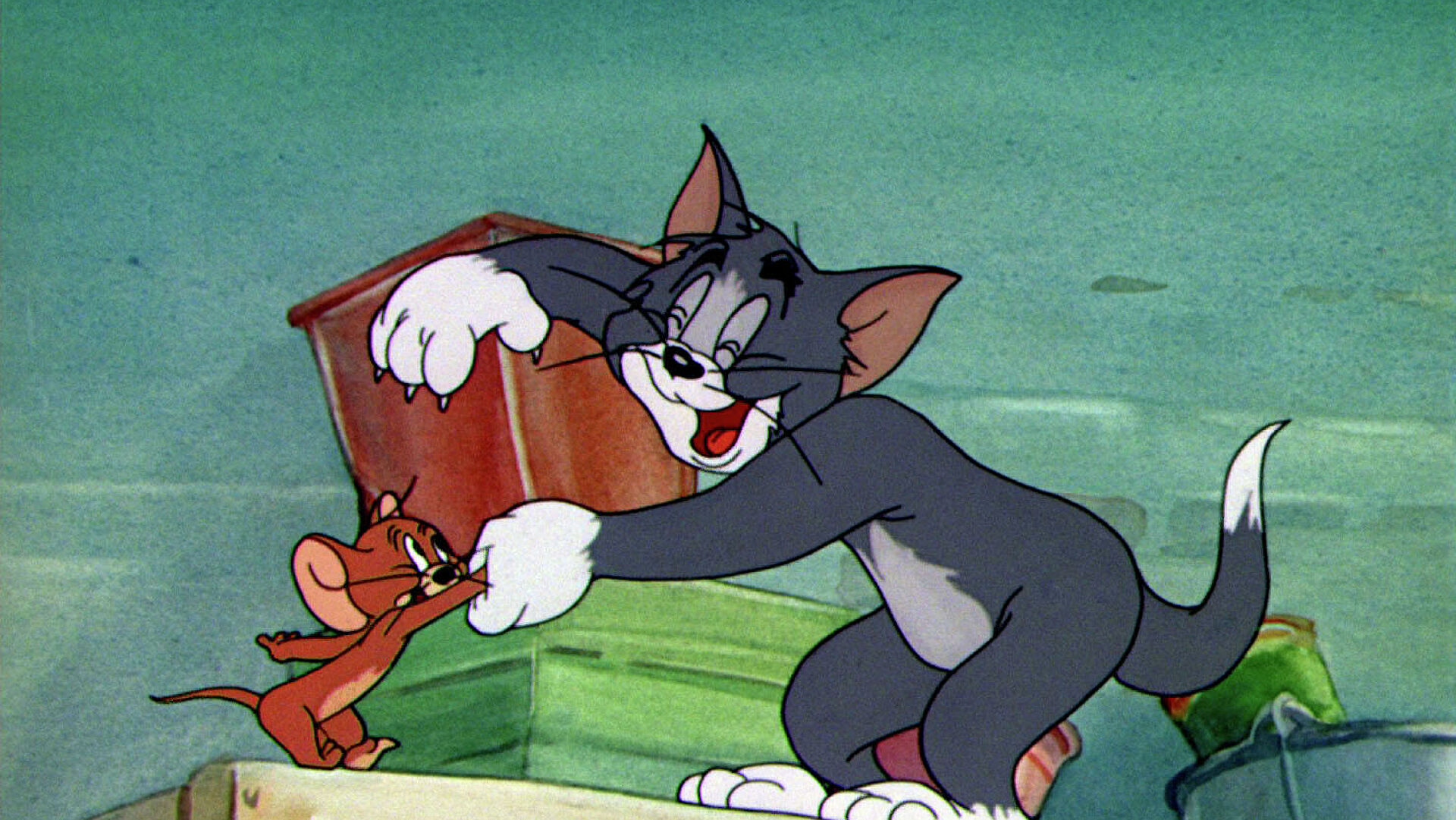 Tom and Jerry are back. A new cartoon with our favorite characters awaits us