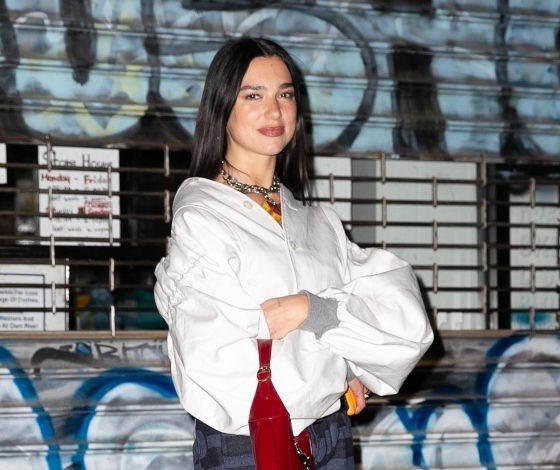 Идеально для учебы и работы: Дуа Липа показывает стильный вариант образа с белой рубашкой