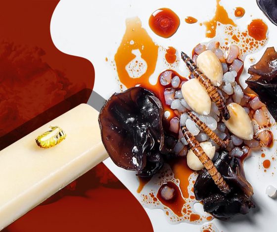 Личинки жука-короеда, сушеные пчелы и другая странная еда в московских ресторанах