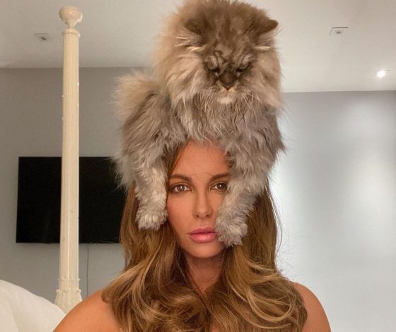 Видео, которое поможет отвлечься: Кейт Бекинсейл и ее угрюмый кот