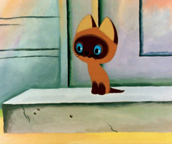 Гороскоп PEOPLETALK: какой ты котик по знаку зодиака