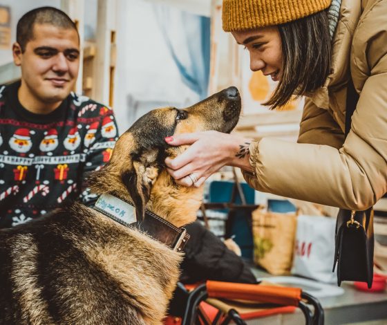 Лучшие помощники в борьбе со стрессом: возьми домой четвероногого друга, который подарит тебе любовь