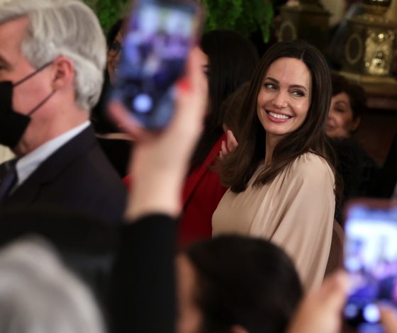 Как первая леди: какое платье выбрала Анджелина Джоли для приема в Белом доме