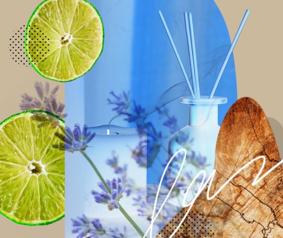 Запах счастья: как ароматерапия и эфирные масла помогают бороться со стрессом