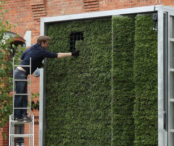 В России началась «Весенняя неделя добра»: желающие смогут помочь окружающей природе и нуждающимся людям