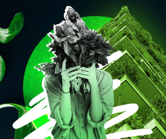 Микрозелень: как вырастить на подоконнике целую россыпь витаминов