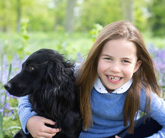 Королевский подарок: Кейт Миддлтон и принц Уильям купили пони старшей дочке на день рождения